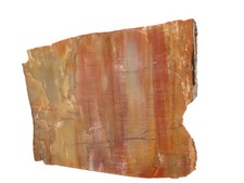 Large polished arizona for sale  Hot Springs Village