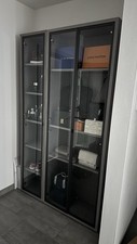 Regal donau glastür gebraucht kaufen  Taufkirchen (Vils)