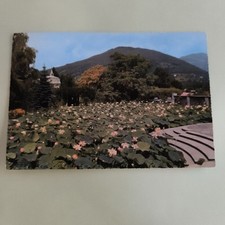 Villa taranto verbania usato  Italia