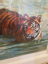 Rolf harris tiger for sale  WIRRAL