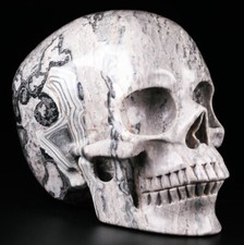 Huge 5.0 picasso for sale  USA