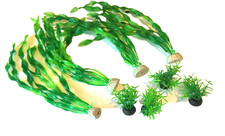 Assorted aquarium fish for sale  Laguna Hills