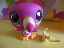 Petshop toucan 2527 d'occasion  Saint-Omer