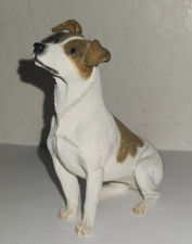 jack russell puppies for sale jack russell puppies for sale Apache Junction
