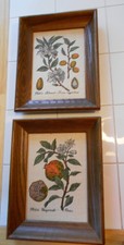 Vintage kay dee for sale  Brooklyn