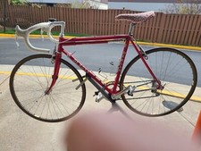 Rosa professional circa for sale  Falls Church