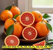 Cara cara orange for sale  Fort Mill