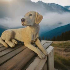 Vintage castagna labrador for sale  Lynchburg