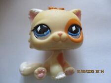 Petshop persian cat d'occasion  Expédié en Belgium