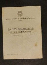 mulo usato  Pordenone