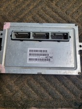 Used euc brain for sale  Jacksonport