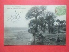 Cpa sénégal jardin d'occasion  Replonges