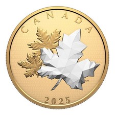 Maple leaf motion gebraucht kaufen  Zülpich