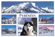 Pyrenees neige multi d'occasion  Rioz