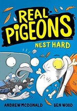 Real pigeons nest for sale  UK
