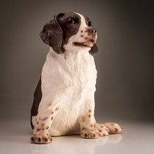 Fraser creations springer for sale  UK
