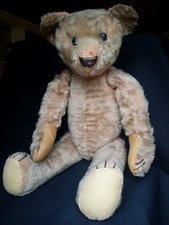 Antique steiff teddy for sale  LANGPORT