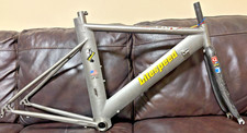 Telaio litespeed blade usato  Spedire a Italy