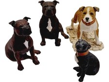 Sherratt simpson dog for sale  INVERNESS