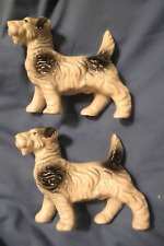 terrier couples for sale terrier couples for sale GRAVESEND