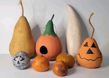 Gourd lot halloween for sale  Garfield