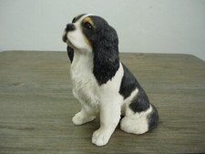 Cavalier king charles for sale  BRENTWOOD