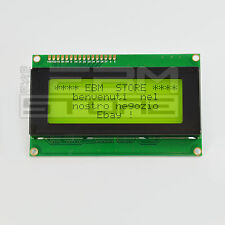 Display verde 20x4 usato  Taurisano