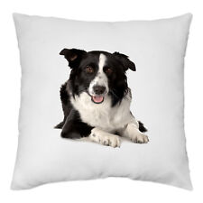 Housse coussin chien d'occasion  Chennevières-sur-Marne