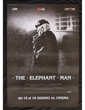 Manifesto the elephant usato  Nocera Superiore