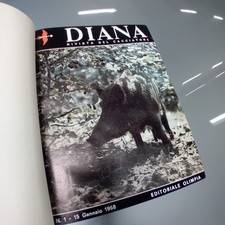 Rivista caccia diana usato  Pontevico