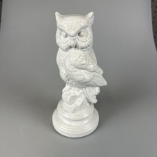 Owl ready paint for sale  Cape Girardeau