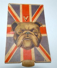 british bulldog for sale british bulldog for sale UK