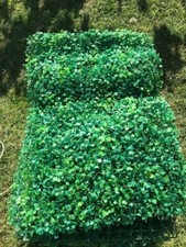 Artificial plant wall for sale  STANMORE