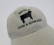 steer heifers for sale steer heifers for sale Bristol