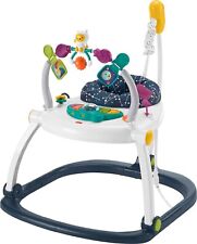 Fisher price baby for sale  Newburgh