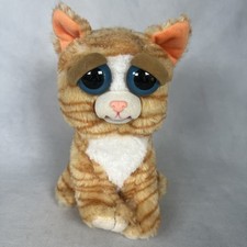 Feisty pets princess for sale  Loris