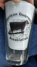 American guernsey association for sale  Shaver Lake
