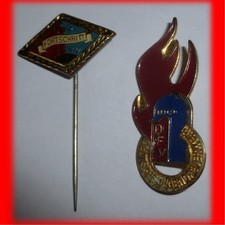 Pin anstecknadel bsg gebraucht kaufen Pin anstecknadel bsg gebraucht kaufen  Glauchau