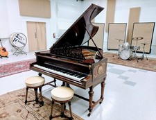 Stunning 1904 bechstein for sale  Venice