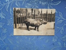 Giardino zoologico roma usato  Venezia