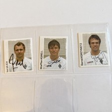 Panini bundesliga 2004 gebraucht kaufen  Cremlingen