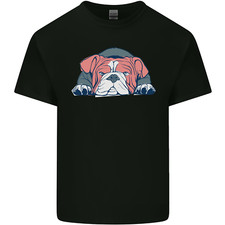 Dogs english bulldog for sale  COVENTRY