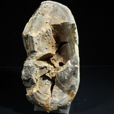 Septaria quartz remuzat d'occasion  Bourg