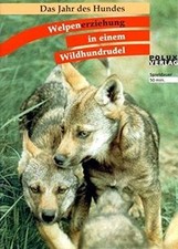Welpenerziehung einem wildhund gebraucht kaufen  Berlin