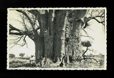 Cartolina militare fotografica usato Cartolina militare fotografica usato  Ragusa