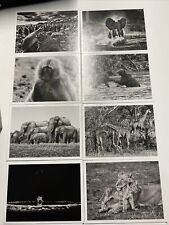 Sebastiao salgado genesis for sale  LONDON
