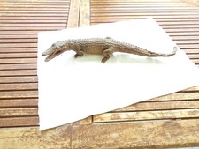 Crocodile taxidermie cm d'occasion Crocodile taxidermie cm d'occasion  Maillezais
