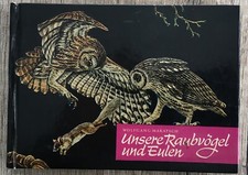 Buch raubvögel eulen gebraucht kaufen  Niederwürschnitz