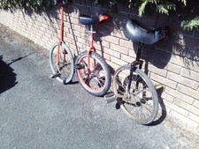 Uni cycles champion for sale  YELVERTON