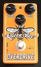 Caline queen bee for sale  Iowa City